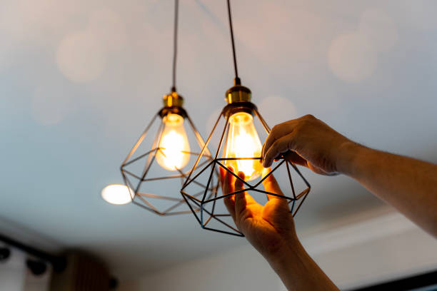 Best Electric Panel Repair  in Oakland, NE